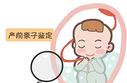 湖州产前亲子鉴定多少费用（专业咨询）